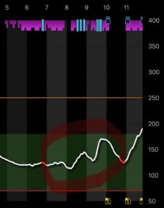 ワクワクの上昇⭐︎ 2 IMG 7348
